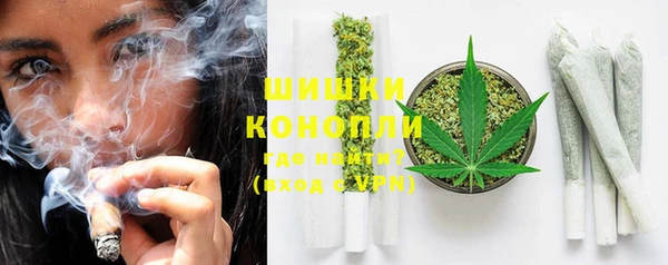 гидропоника Сатка