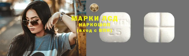гидропоника Сатка
