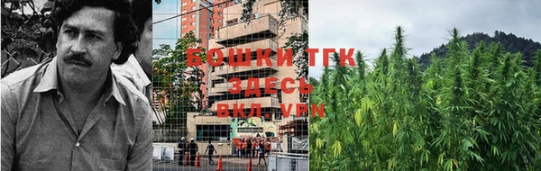 гидропоника Сатка