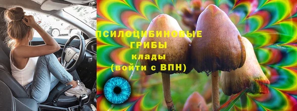 гидропоника Сатка
