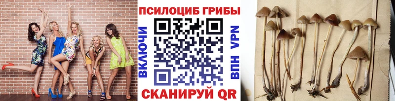 Галлюциногенные грибы Cubensis  Купить где  Сасово 